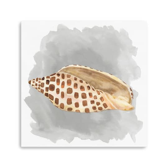 Shells On Grey I Canvas Giclee